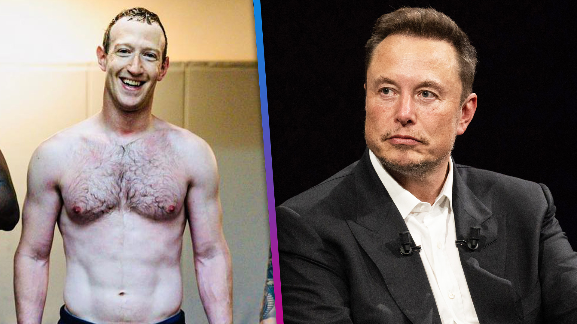 Elon Musk vs Mark Zuckerberg Cage Fight: Know all details here