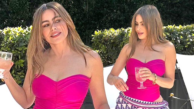 Sofia Vergara All Smiles and Dancing at Karol G Concert Following